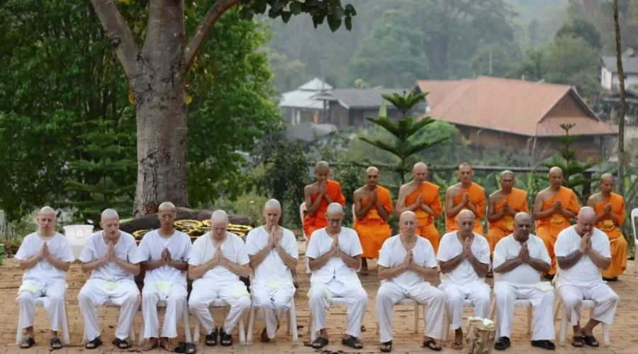 Medytacja - Cezariusz Platta Miejski Mnich